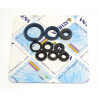 ENGINE OIL SEALS KIT - 09343094 | Dr Rider