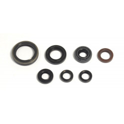 ENGINE OIL SEALS KIT - 09343095 | Dr Rider