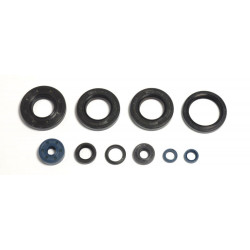 ENGINE OIL SEALS KIT - 09343097