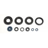 ENGINE OIL SEALS KIT - 09343097