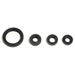 ENGINE OIL SEALS KIT - 09343098