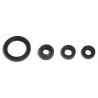 ENGINE OIL SEALS KIT - 09343098
