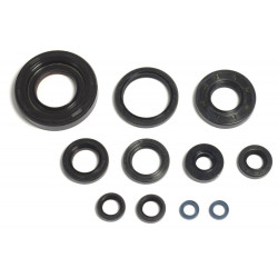 ENGINE OIL SEALS KIT - 09343099 | Dr Rider