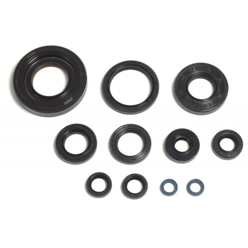 ENGINE OIL SEALS KIT - 09343099 | Dr Rider