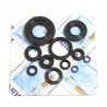 ENGINE OIL SEALS KIT - 09343099 | Dr Rider