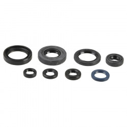 ENGINE OIL SEALS KIT - 09343100 | Dr Rider