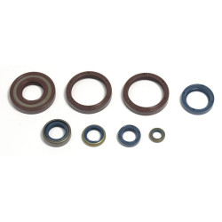 ENGINE OIL SEALS KIT - 09343101 | Dr Rider