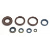 ENGINE OIL SEALS KIT - 09343101 | Dr Rider