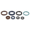 ENGINE OIL SEALS KIT - 09343103 | Dr Rider