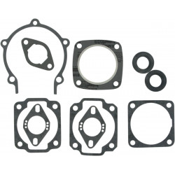 Jeu de joints moteur complet Vertex Moto-Ski Spirit 250 / Ski-Doo Elan 250 1976-1994 | Dr Rider