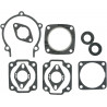 Jeu de joints moteur complet Vertex Moto-Ski Spirit 250 / Ski-Doo Elan 250 1976-1994 | Dr Rider