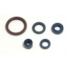 ENGINE OIL SEALS KIT - 09343104