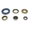 ENGINE OIL SEALS KIT - 09343105 | Dr Rider
