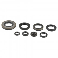 ENGINE OIL SEALS KIT - 09343106 | Dr Rider