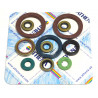 ENGINE OIL SEALS KIT - 09343113 | Dr Rider