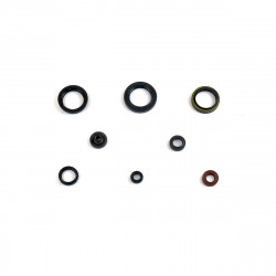 ENGINE OIL SEALS KIT - 09345033