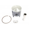 CAST-LITE PISTON 47 95 - 09345035 | Dr Rider