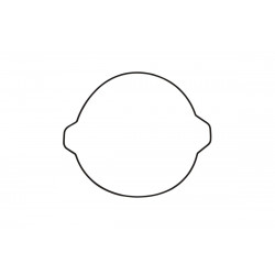 CLUTCH CVR GASKET SX85 18 - 09346190