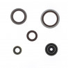 ENGINE OIL SEALS KIT - 09347899 | Dr Rider