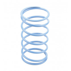 VARIATOR SPRINGS - 11311160 - Dr Rider