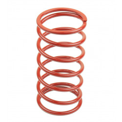 VARIATOR SPRINGS - 11311162 - Dr Rider