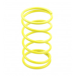 VARIATOR SPRINGS - 11311163 - Dr Rider