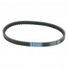 BELT DRIVE STANDARD - 11420117 - Dr Rider