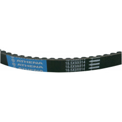 BELT TRAN 18.5X9X814    - 12040072 - Dr Rider