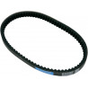 BELT TRAN 22.5X10.5X812  - 12040074 - Dr Rider
