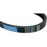 BELT TRAN 22.5X10.5X812  - 12040074 - Dr Rider