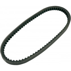 BELT TRAN 20X10X800   			 - 12040075 - Dr Rider