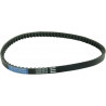 BELT TRAN 17.7X8.5X729   - 12040076 - Dr Rider