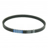 BELT TRAN 18.2X8X720   			 - 12040077 - Dr Rider