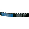 BELT TRAN 18.2X8X720   			 - 12040077 - Dr Rider