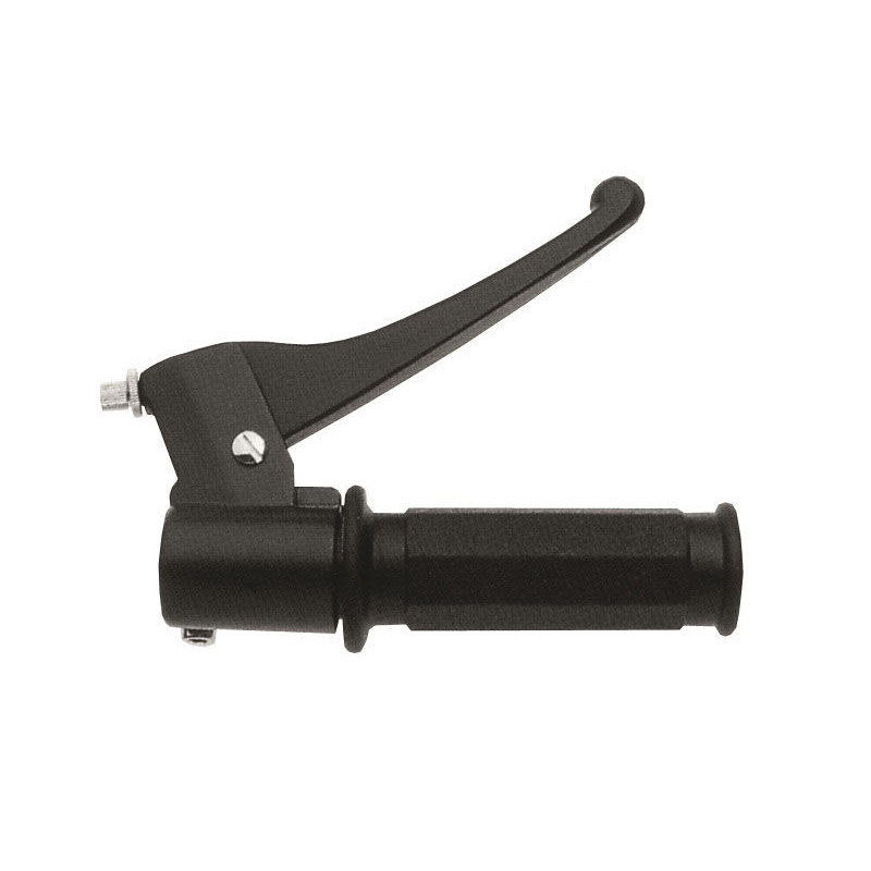 THROTTLE CONTROL PIAGGIO W/ GR - 06321033 - Dr Rider