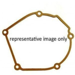 GASKET REPLACEMENT SSG-41B - 09344761