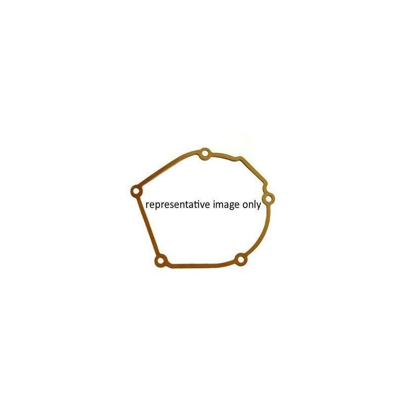 GASKET REPLACEMENT SSG-41B - 09344761