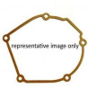 GASKET REPLACEMENT SSG-41B - 09344761
