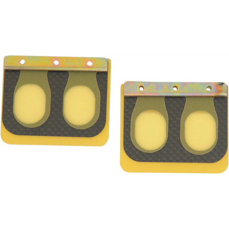 PRO SERIES REED RAD02G - 10080011 | Dr Rider