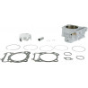 CYLINDER BIG BORE KIT - 09310135