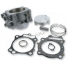 CYLINDER STD KT - 09310274 | Dr Rider