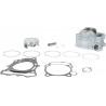 CYLINDER STD KT - 09310281 | Dr Rider