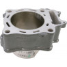 CYLINDER STD CRF250R - 09310392 | Dr Rider