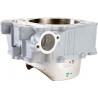 CYLINDER STD YZ450F - 09310396