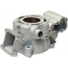 CYLINDER STD 30009 - 09310580 | Dr Rider