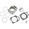 CYLINDER KIT STD - 09310674 | Dr Rider