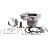 CYLINDER STD BORE KIT - 09310717 | Dr Rider
