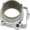 CYLINDER STD - 09310720 | Dr Rider