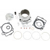 CYLINDER STD BORE KIT - 09310721 | Dr Rider