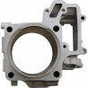 Cylindre arrière standard Cylinder Works - Kawasaki Teryx 750 2012-2013 / Teryx 800 2014-2025 - Dr Rider